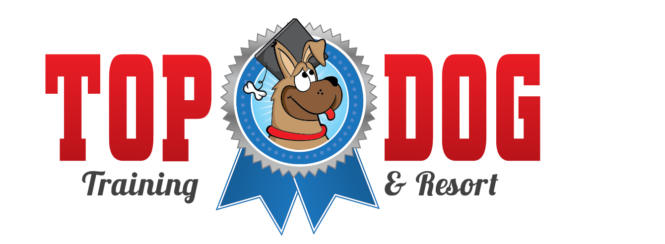Raleigh Logo Designer Dog Training Top Dog Training Resort1