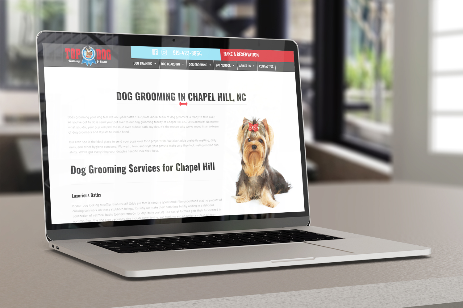 Web Design Dog Training Dog Boarding Durham Nc Dog Grooming