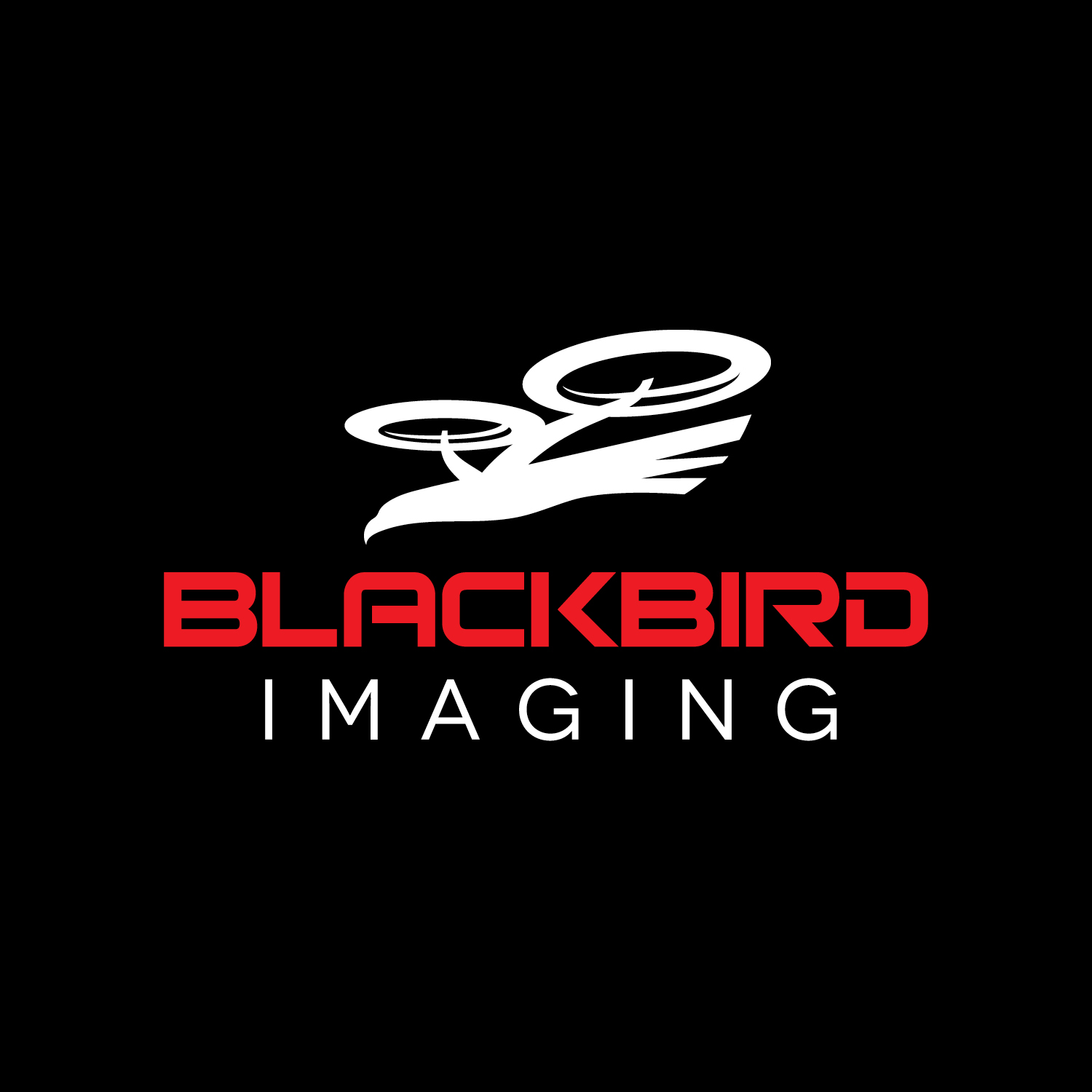 Raleigh Logo Designer Drone Blackbird Imaging
