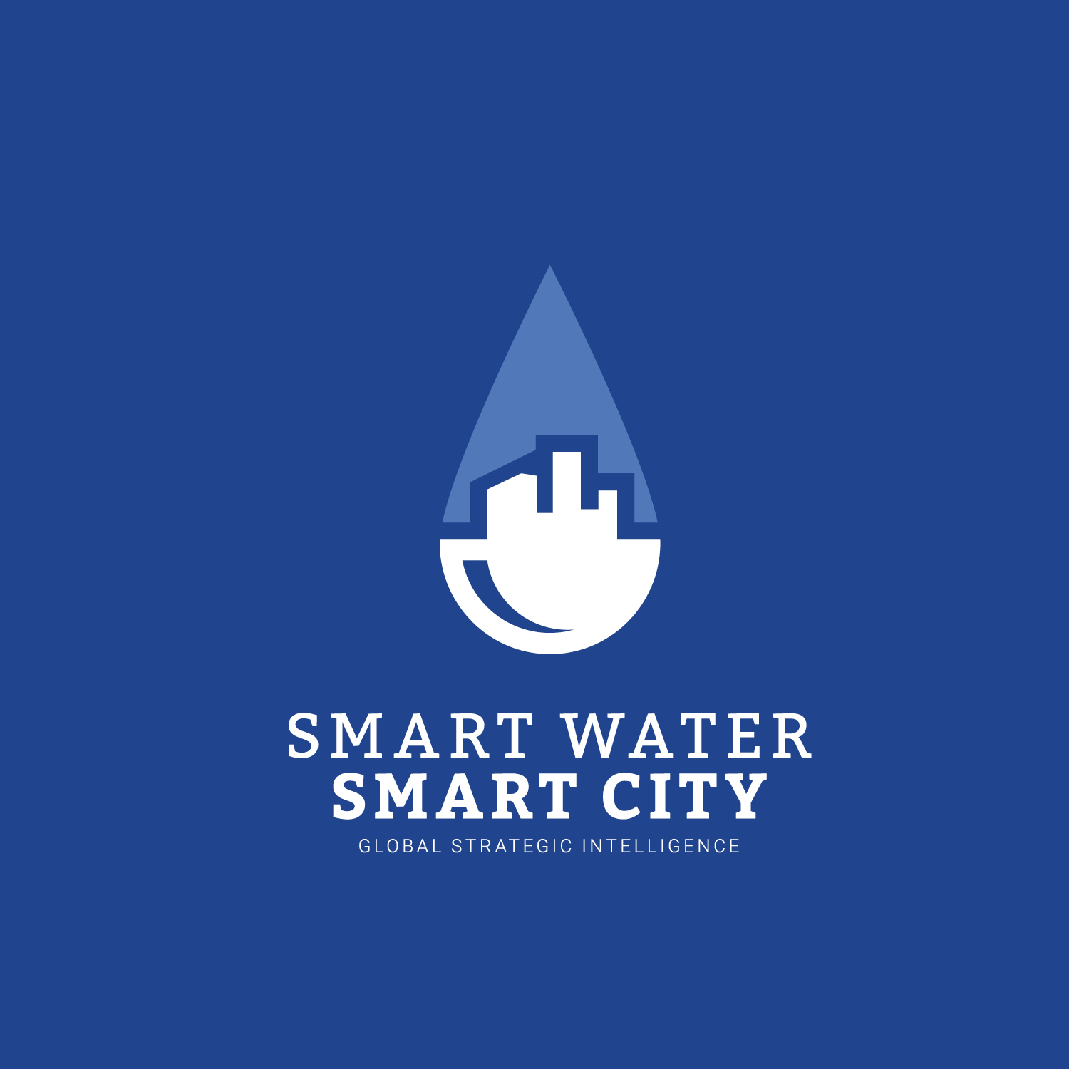 Raleigh Logo Designer Fractional Cmo Smart City Smart Water
