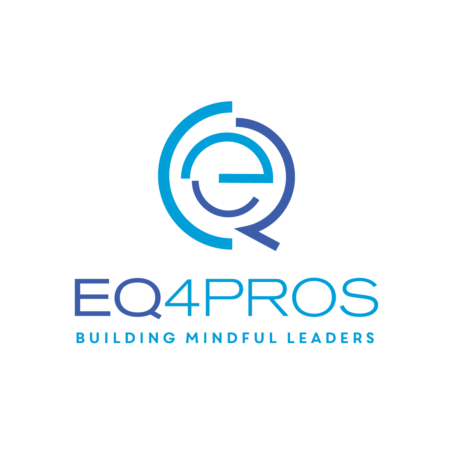 Raleigh Logo Designer Coaching Training Eq4pros