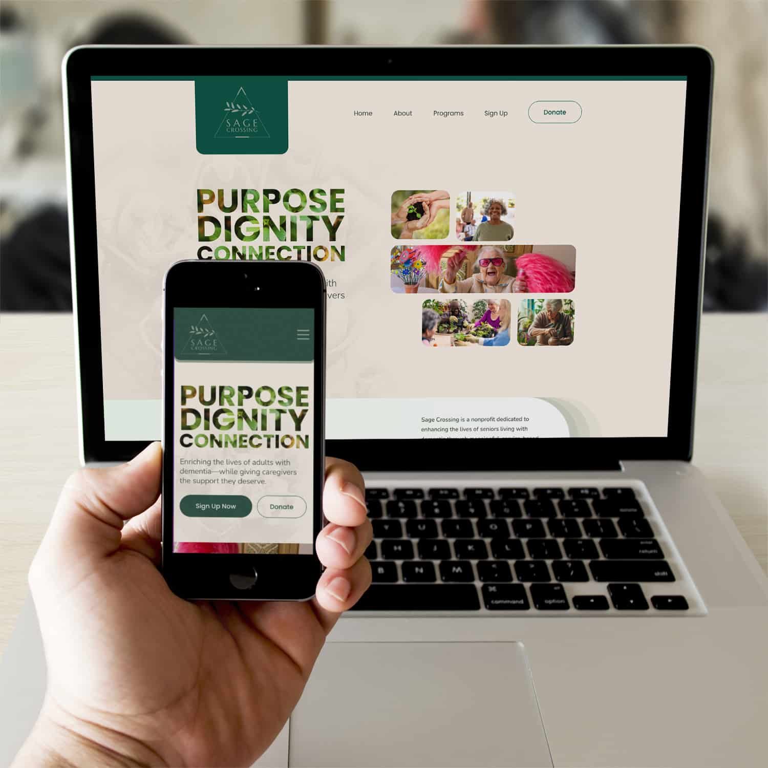 Raleigh Web Design Senior Center Raleigh Sage Crossing